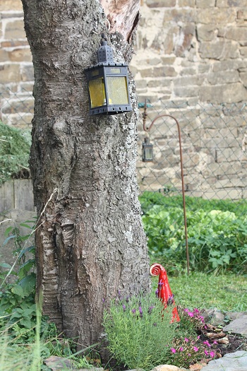 Gartenimpression Baum